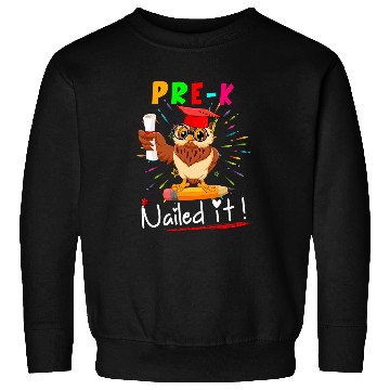 Discover PreK Nailed It Cute Owl Pencil Student Graduation Lover Sweatshirts