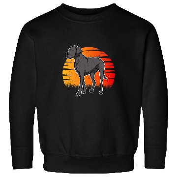 Discover German Mastiff Great Dane Sunset 29 2 3 Sweatshirts