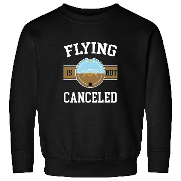 Discover Funny Retro vintages Airplane Aviation Pilot Sweatshirts
