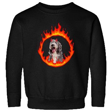 Discover Devil Dog Bearded Collie 2 Sweatshirts