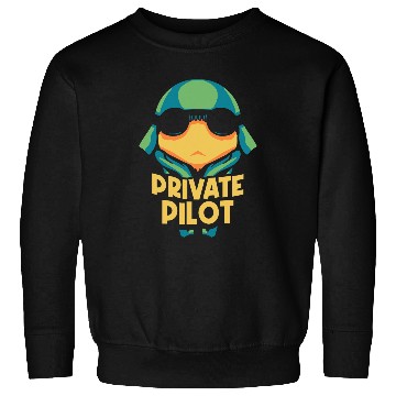 Discover Private Pilot Aircraft Small Airplane 1 Sweatshirts