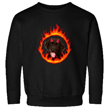 Discover Devil Dog Newfoundland Sweatshirts
