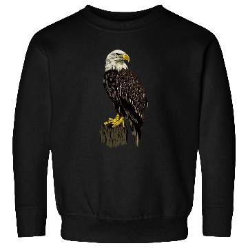 Discover Eagle Bald Eagle Sweatshirts