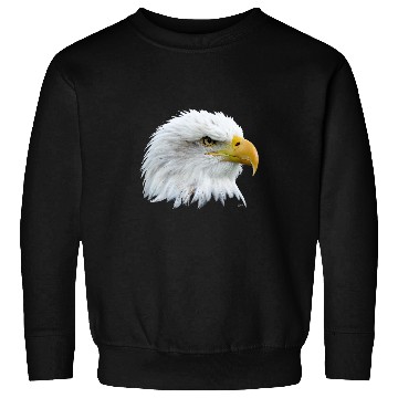 Discover Falconry White Head Eagle Sweatshirts