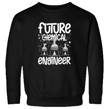 Discover chemicals Engineer Funny Engineering Physics Chemistry 26 Sweatshirts