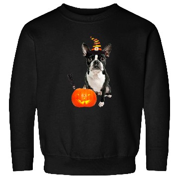Discover Boston Terrier Pet Witch Hat Halloween Dog Costume Sweatshirts