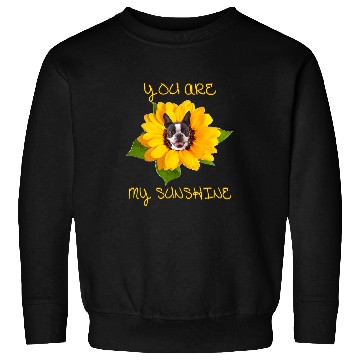 Discover Boston Terrier Pet You Are My Sunshine Sweatshirts