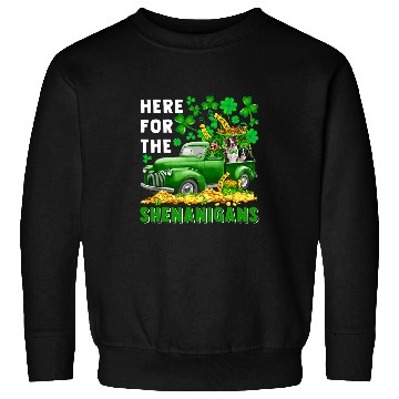 Discover Border Collie Pet Here For Shenanigans St Sweatshirts