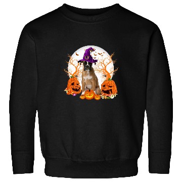 Discover Boxer Pet Halloween Boxer Jack O Lantern Pumpkin 23 Sweatshirts