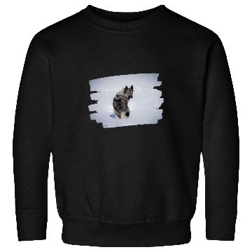 Discover Elkhound Pet Grey Sweatshirts