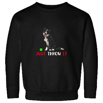 Discover Border Collie Pet Just Throw it Funny Border Collie Dog Lover funny Sweatshirts
