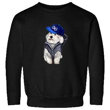 Discover Cavalier Pet king charles spaniel fancy dress cavapoo Sweatshirts