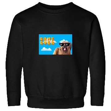 Discover Briard Pet 8Bit Game Over Sweatshirts