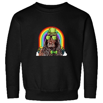 Discover Boykin Spaniel Pet Funny St Patricks Day Sweatshirts