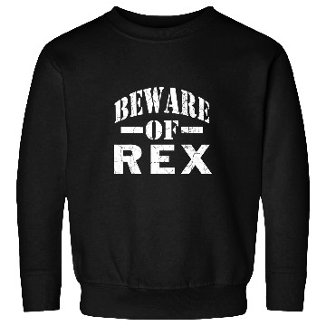 Discover Dinosaur Pet Beware of rexs Family Reunion Last Name Team Custom Sweatshirts