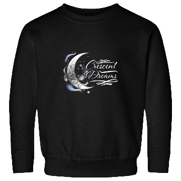 Discover Moon Phase Full Moon Lunar Eclipse Astronomer Astronomy Sweatshirts