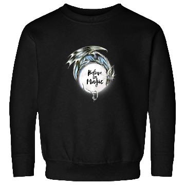 Discover Dragon Pet Silver Sweatshirts