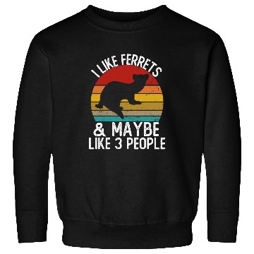 Discover Ferret Pet I Like Ferrtes and Maybe Like 3 People s Ferret Sweatshirts