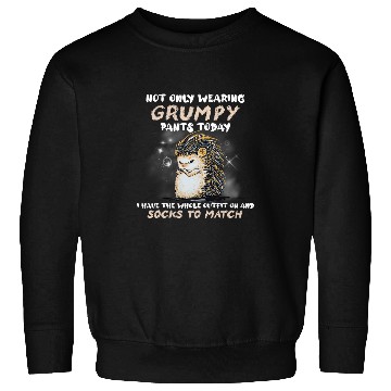 Discover Hedgehog Pet Not Only Wearing Grumpy Pants Today Funny Hedgehog Sweatshirts