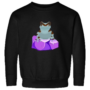 Discover Frog Pet Crystal Amethyst Gemstone for Toad Owners Sweatshirts