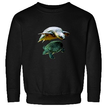 Discover Turtle Pet Australian Fly River Turtle Pig Nosed Turtle Lovers Sweatshirts