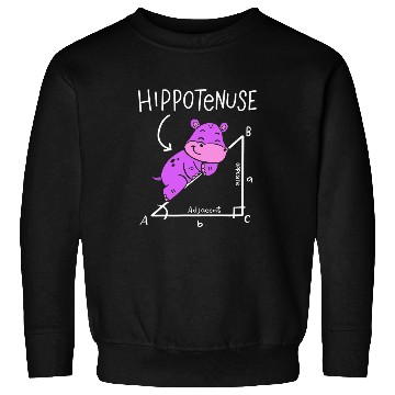 Discover Hippo Pet Geometry Funny Math Lover Hypotenuse Costume Sweatshirts