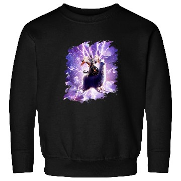 Discover Llama Pet Lazer Warrior Space Cat Riding Llama With Ice Cream Sweatshirts
