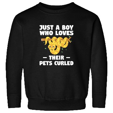 Discover Python Pet Just A Boy Who Loves Their Pets Curled Ball Python Pythons Sweatshirts