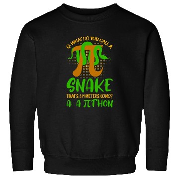 Discover Python Pet Pithon Pi Symbol Funny Math Teacher Sweatshirts