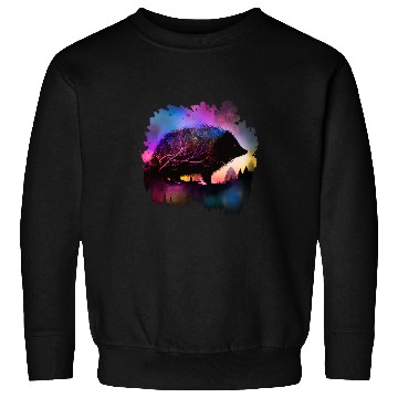 Discover Hedgehog Pet Colorful Wilderness Nature Hedgehog Reflection Sweatshirts