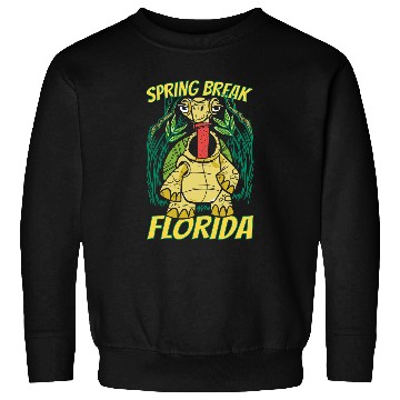 Discover Turtle Pet Spring Break Florida Cute Beach Vacation Sweatshirts