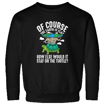 Discover Turtle Pet The Earth Is Flat How Else Would It Stay On The Sweatshirts