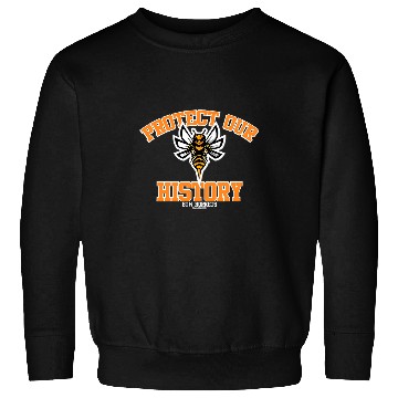 Discover Book Fun Tulsa Booker T Washington Protect Our History Hornets Sweatshirts