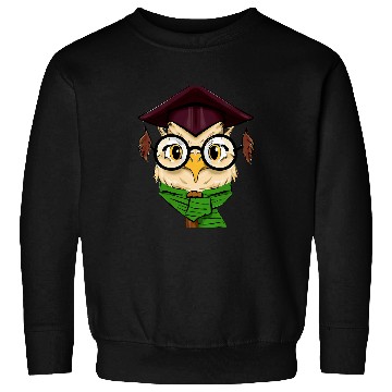 Discover Owl Pet Magic Owl Wizard Owl Magic School Parcel Hedwig Sweatshirts