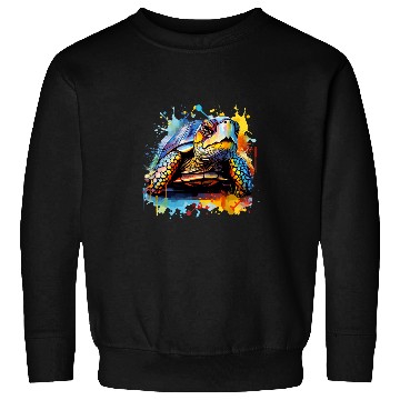Discover Turtle Pet Colorful Splash Art Eastern Box Turtle Lover Sweatshirts
