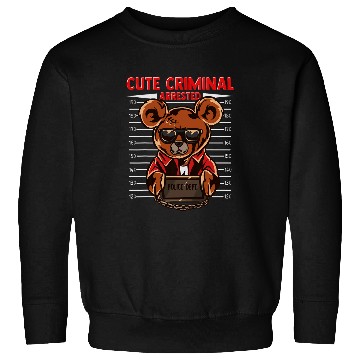Discover Bear Pet Urban Hip Hop Teddy Bear Lineup Hustle Money Calling Boys 8 Sweatshirts