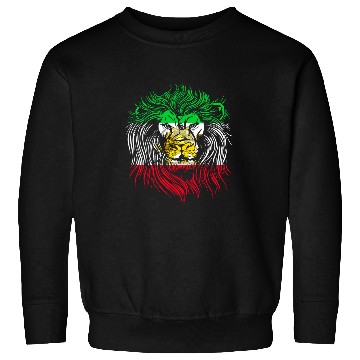 Discover Lion Pet Head Flag Iran Sweatshirts