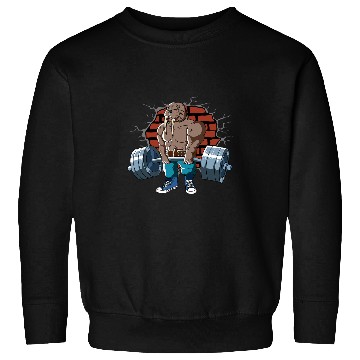 Discover Fitness Walrus doing Deadlift Workout Training Gym Sweatshirts