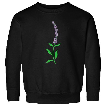 Discover Herb Lavender Plant Flower Sweatshirts