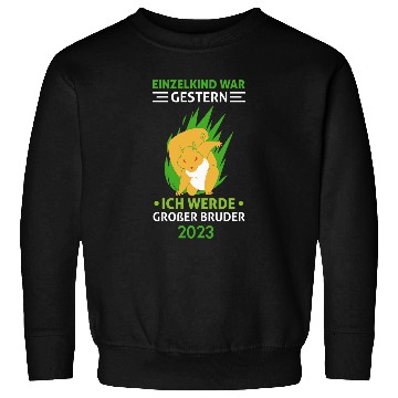 Discover Squirrel Pet Einzelkind wars Gestern Ich Werde GroBer Bruder Squirrel Sweatshirts
