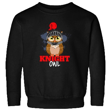 Discover Owl Pet Knight Owl Birds Of Prey Ornithologist Sweatshirts