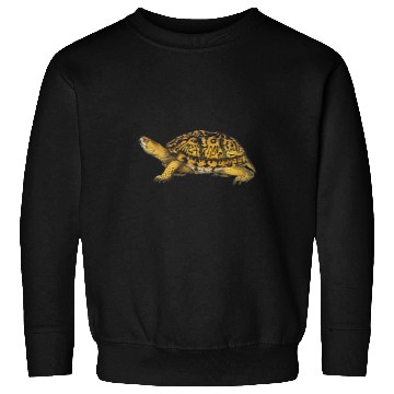 Discover Turtle Pet Eastern Box Turtle Sweatshirts