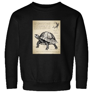 Discover Turtle Pet Box Turtle Structural Blueprint Sweatshirts