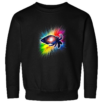 Discover Hermit Crab Galaxy Sweatshirts