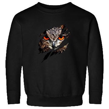Discover Owl Pet Aesthetic Owl with Ripped Effect Sweatshirts