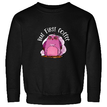 Discover Coffee Fun But First Coffee Funny Owl Coffee Lover Sweatshirts