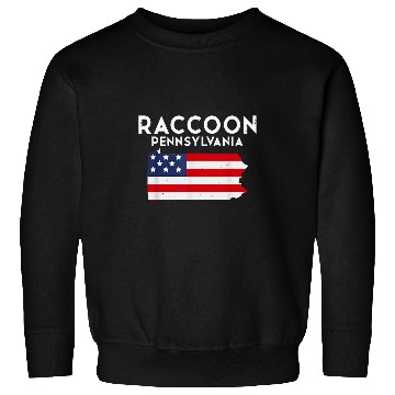 Discover Raccoon Pet Pennsylvania USA State America Travel 2 Sweatshirts