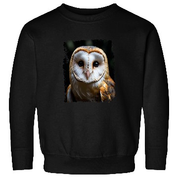 Discover Owl Pet Barn Owl 2 Sweatshirts