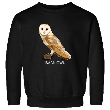 Discover Owl Pet Barn Owl Bird Lover Sweatshirts