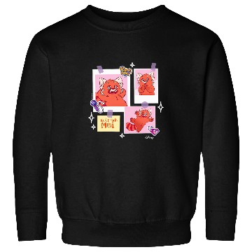 Discover Panda Pet Turning Red Red Panda Mei Grid Sweatshirts